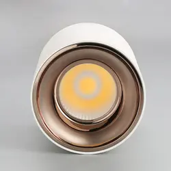 Surface Mounted Down light