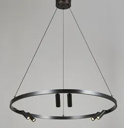 Brass Track Light