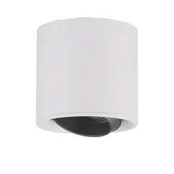 Ceiling Spotlight for Living Room