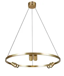 Brass Track Light